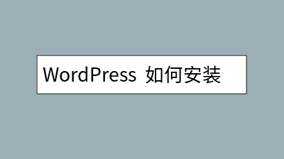 WordPress  如何安装插件