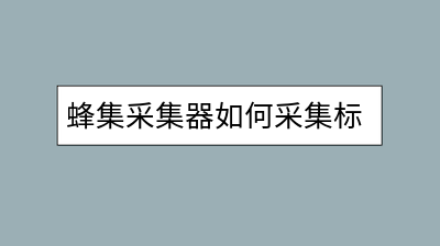 蜂集采集器如何采集标签