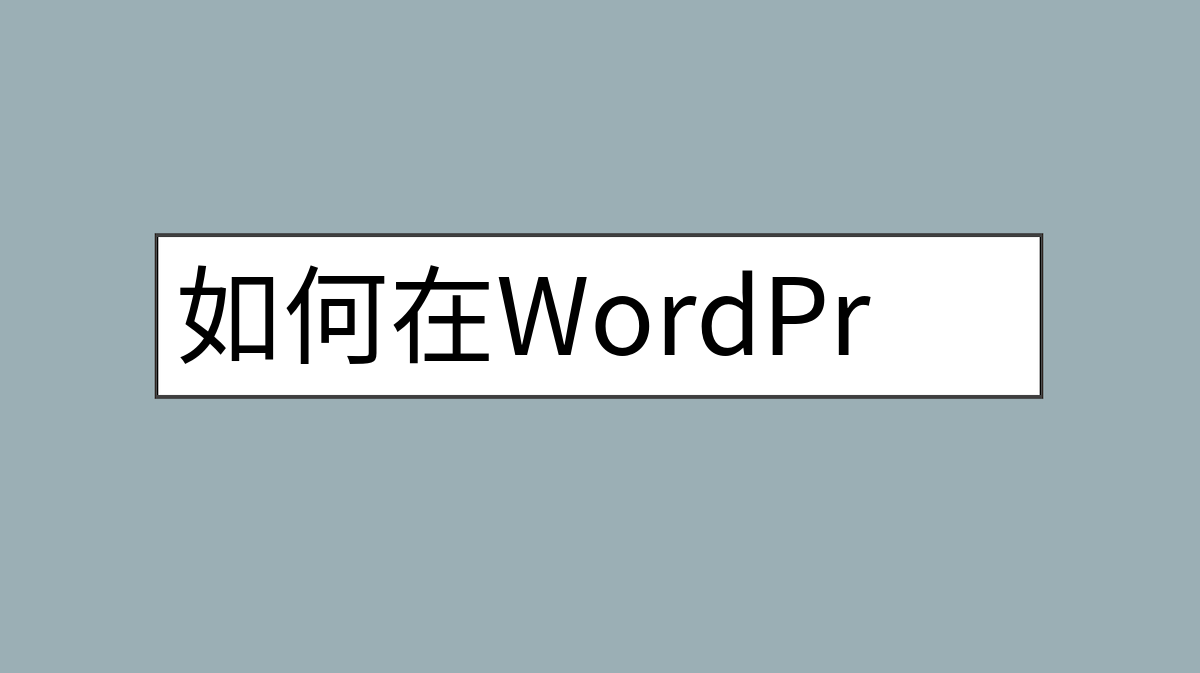 如何在WordPress文本小工具中运行PHP代码