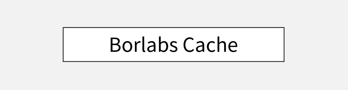 Borlabs Cache